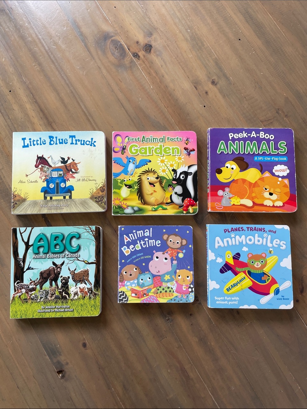 Toddler Board Book Bundle